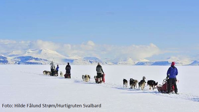 Hundesledetur i Bolterdalen (4 timer)